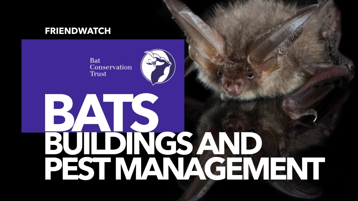Batsandbuildinginpestmanagement1 Batsandbuildinginpestmanagement1